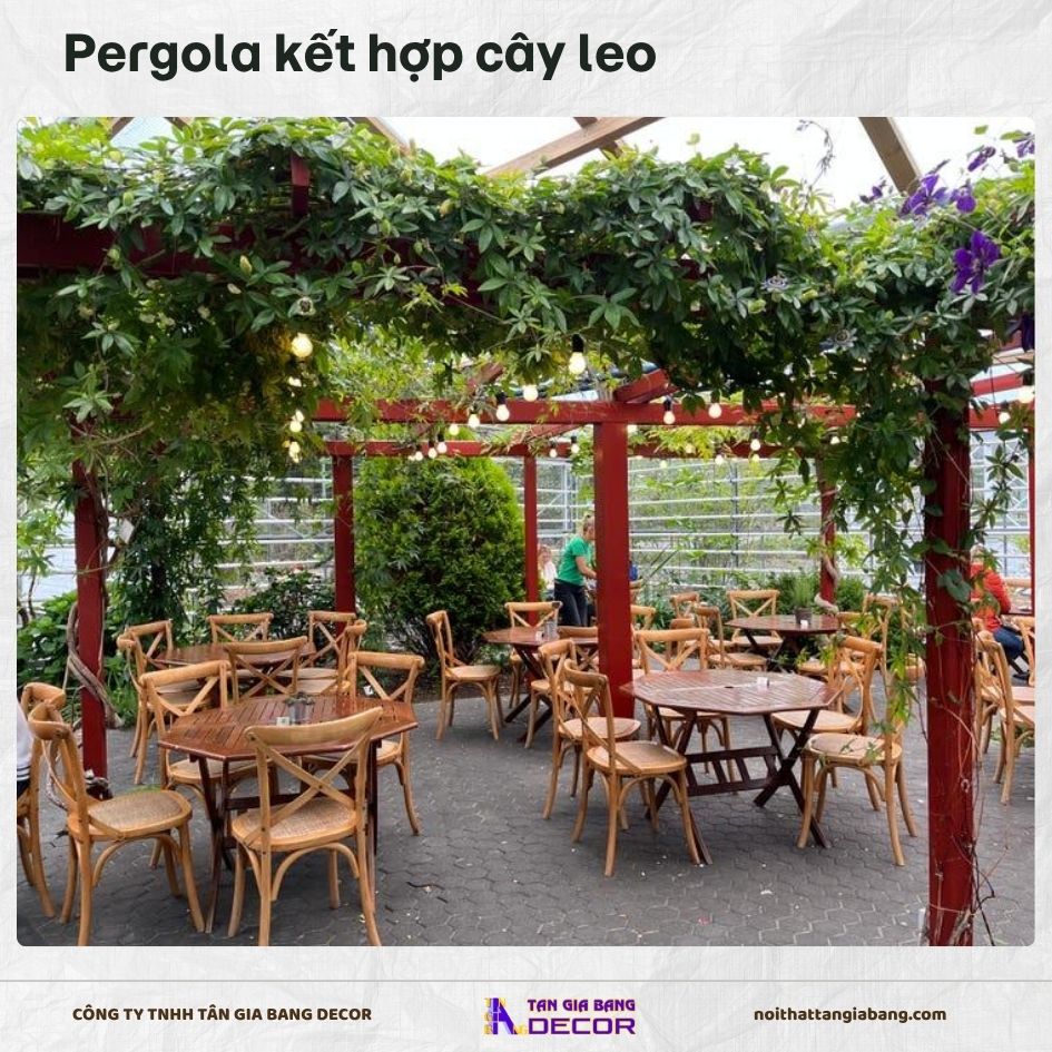 Pergola kết hợp cây leo