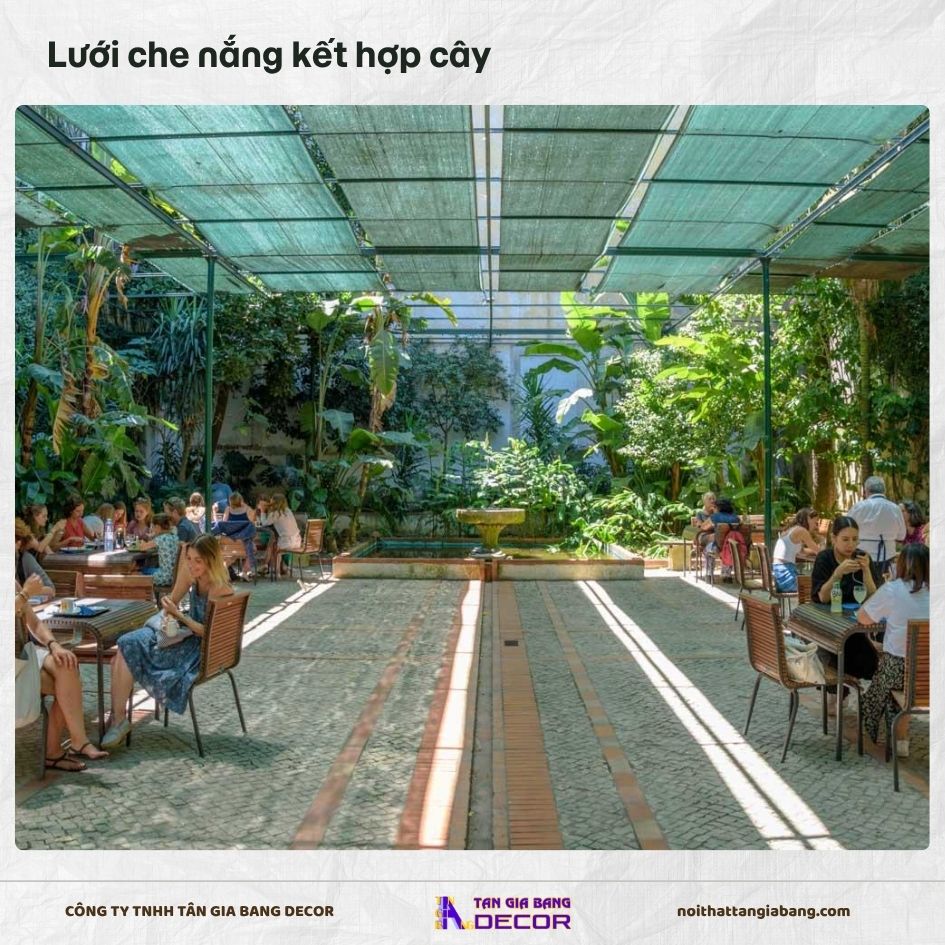 Lưới che nắng kết hợp cây