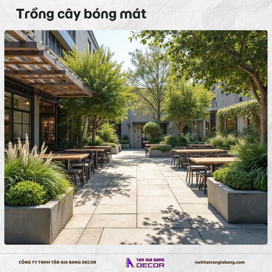 Trồng cây bóng mát che nắng cho quán cafe